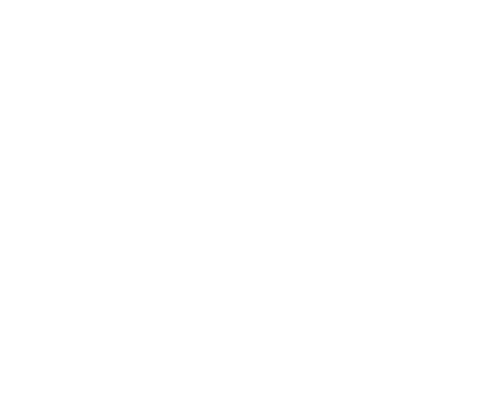 Fortis Studio